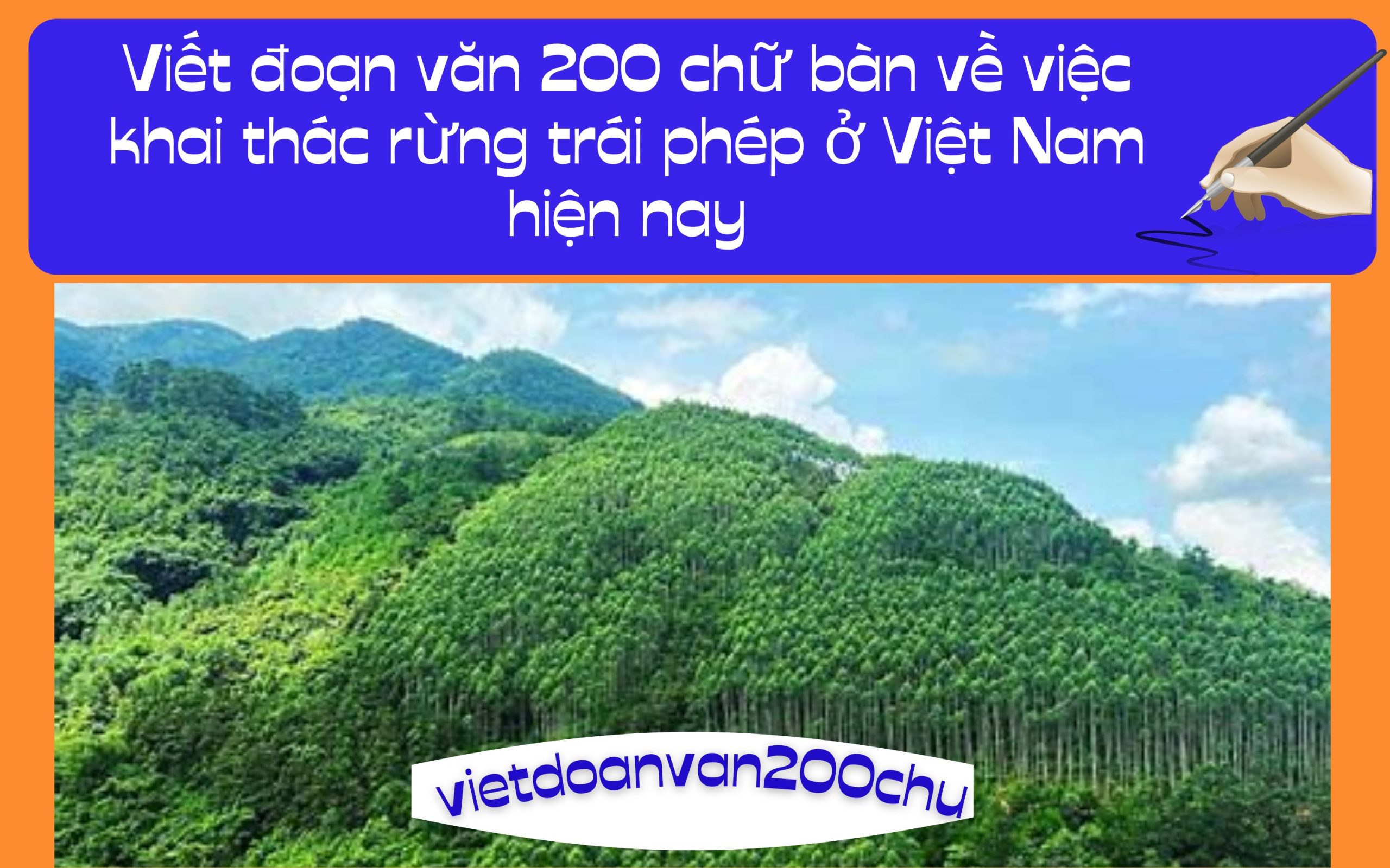 Đoạn văn 200 chữ bàn về việc khai thác rừng trái phép ở Việt Nam hiện nay