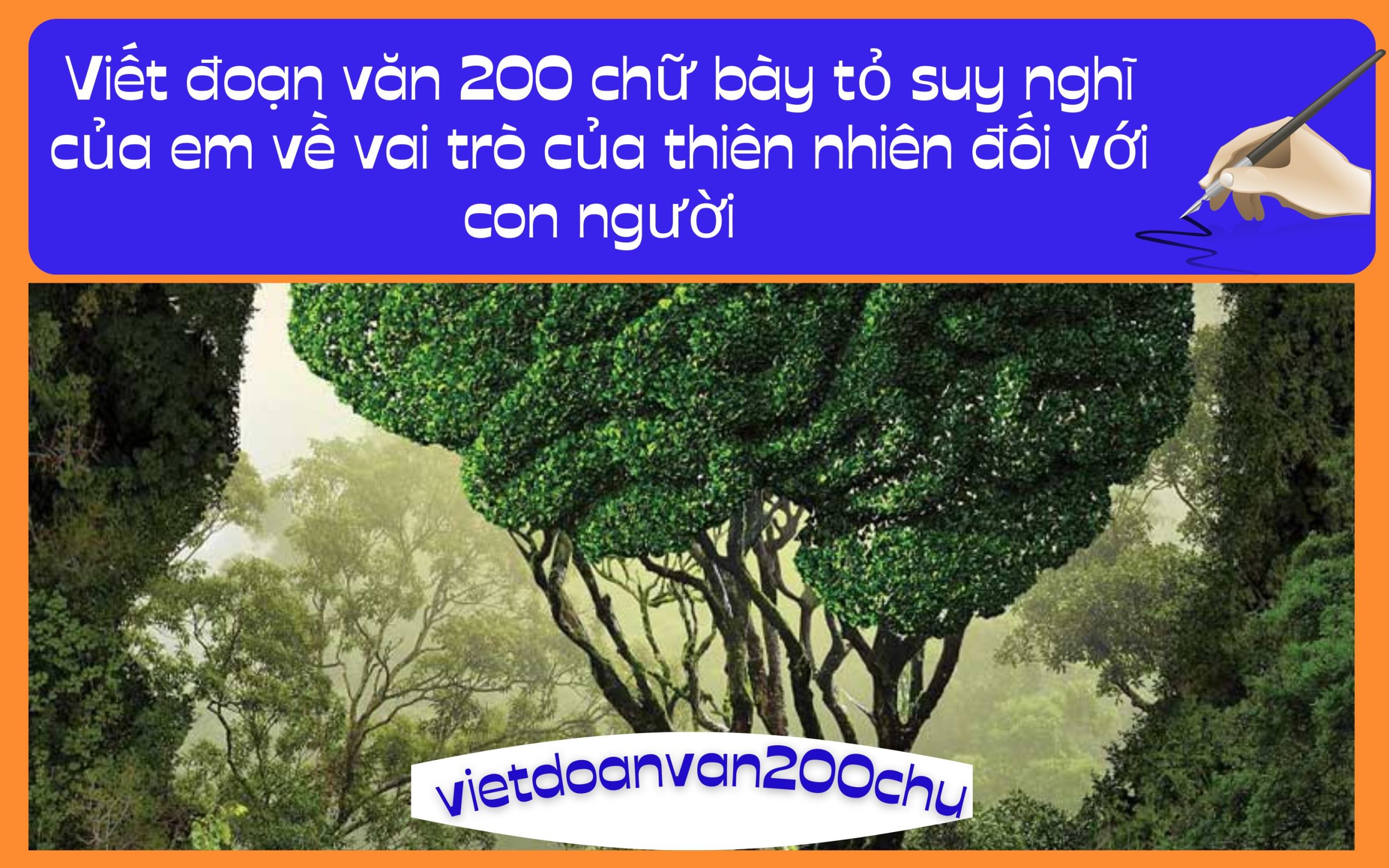 Đoạn văn 200 chữ bày tỏ suy nghĩ của em về vai trò của thiên nhiên đối với con người