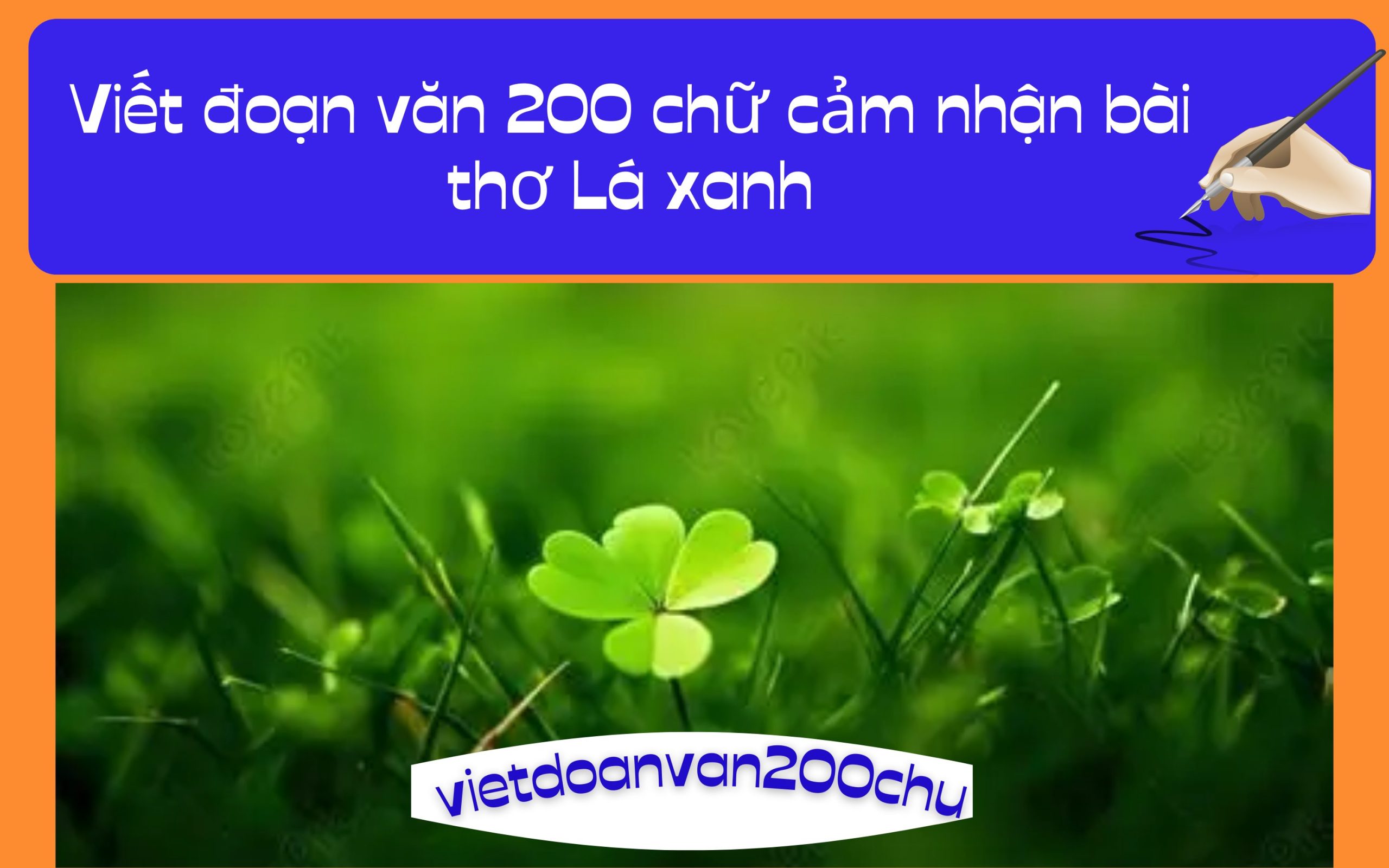 Đoạn văn 200 chữ cảm nhận bài thơ Lá xanh