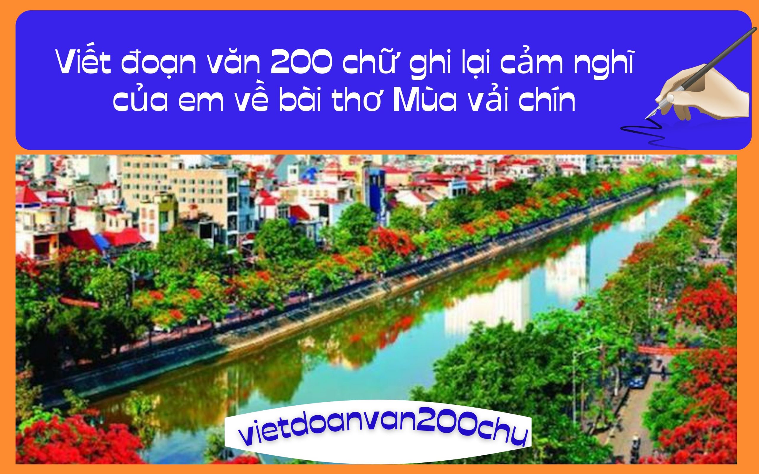 Viết đoạn văn 200 chữ ghi lại cảm nghĩ của em về bài thơ Mùa vải chín