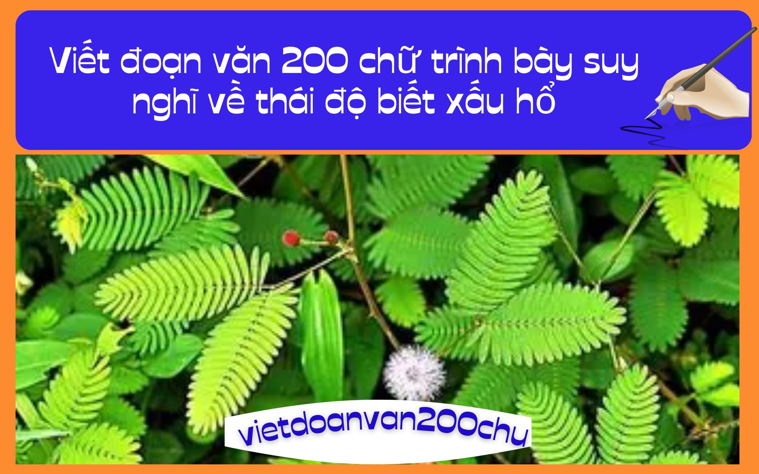 Đoạn văn 200 chữ trình bày suy nghĩ về thái độ xấu hổ