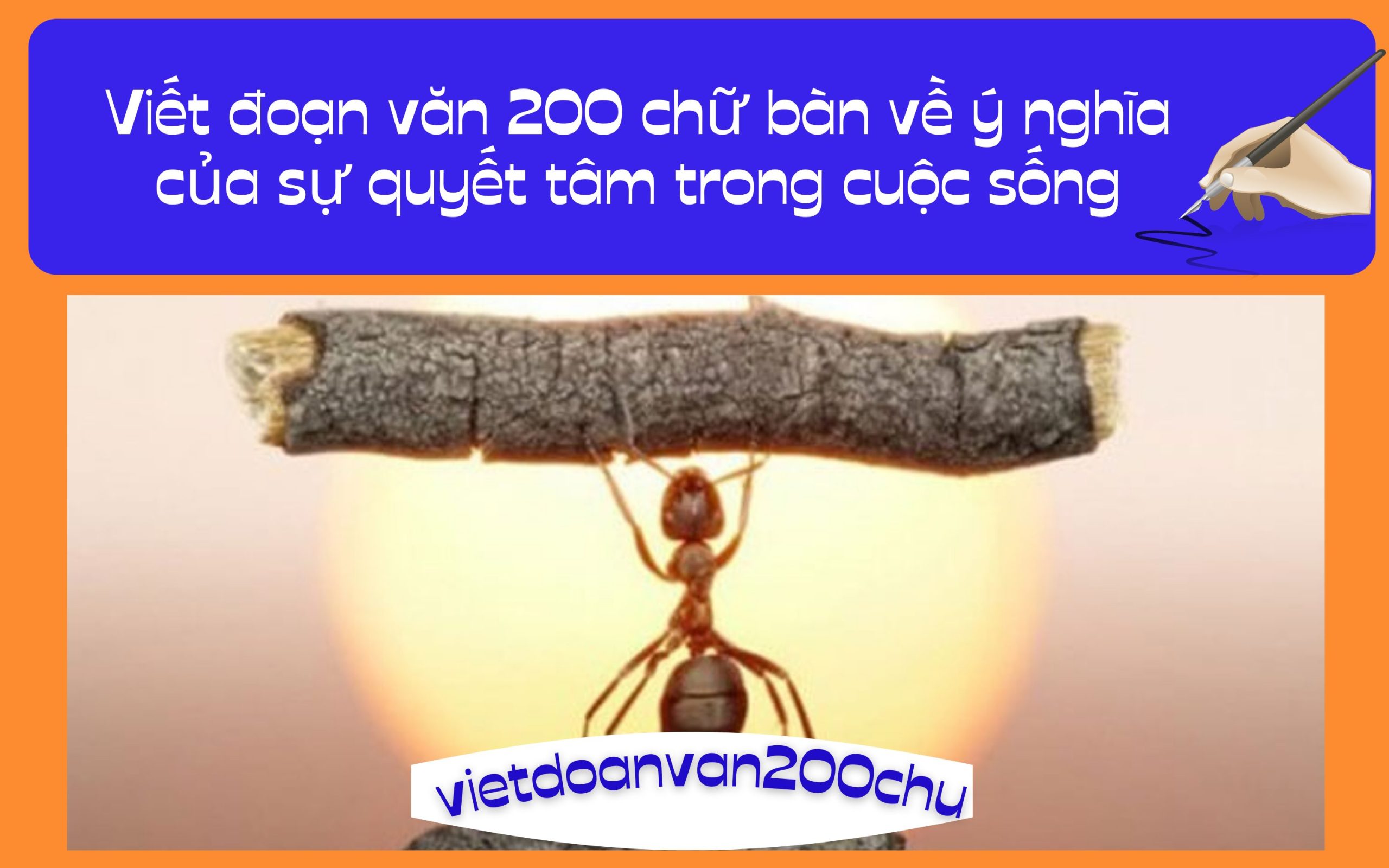 Đoạn văn 200 chữ bàn về ý nghĩa của sự quyết tâm trong cuộc sống