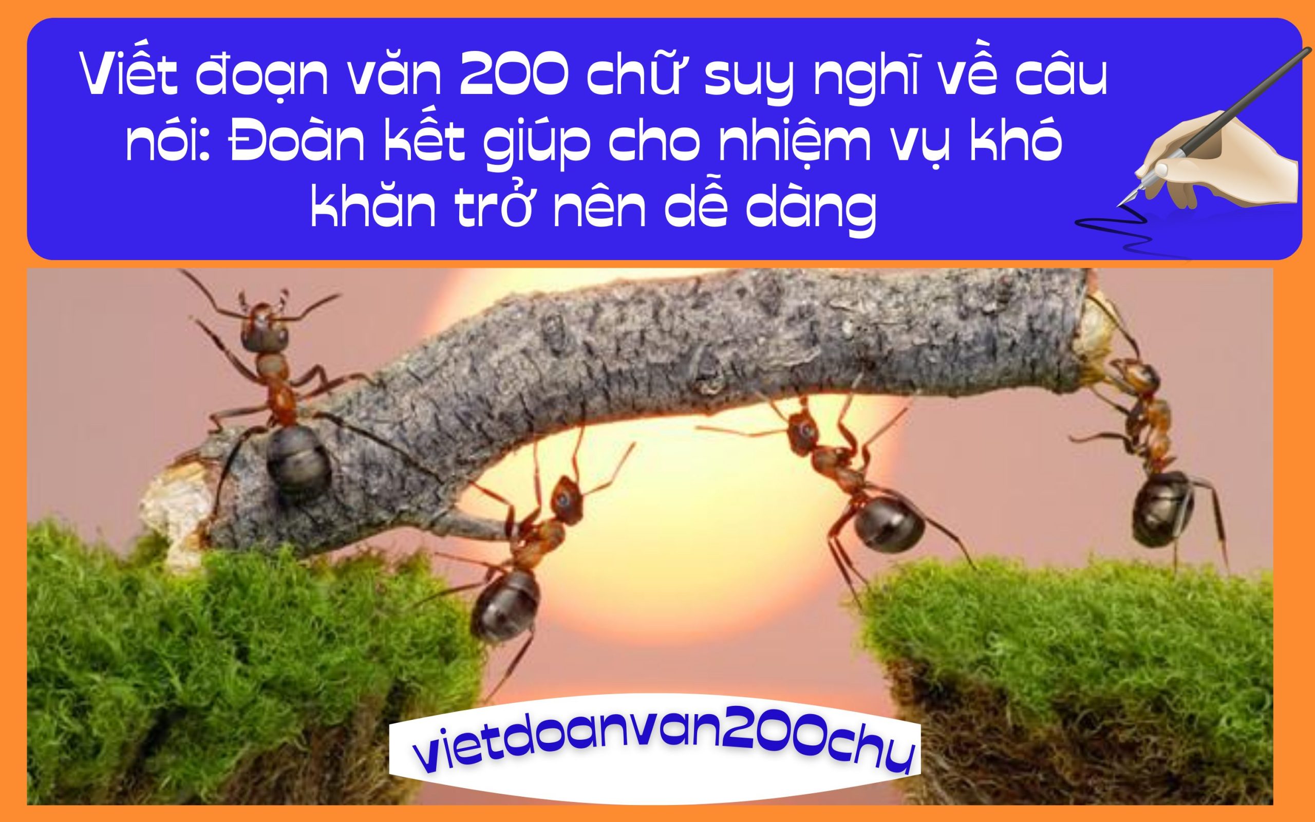 Đoạn văn 200 chữ suy nghĩ về câu nói: Đoàn kết giúp cho nhiệm vụ khó khăn trở nên dễ dàng