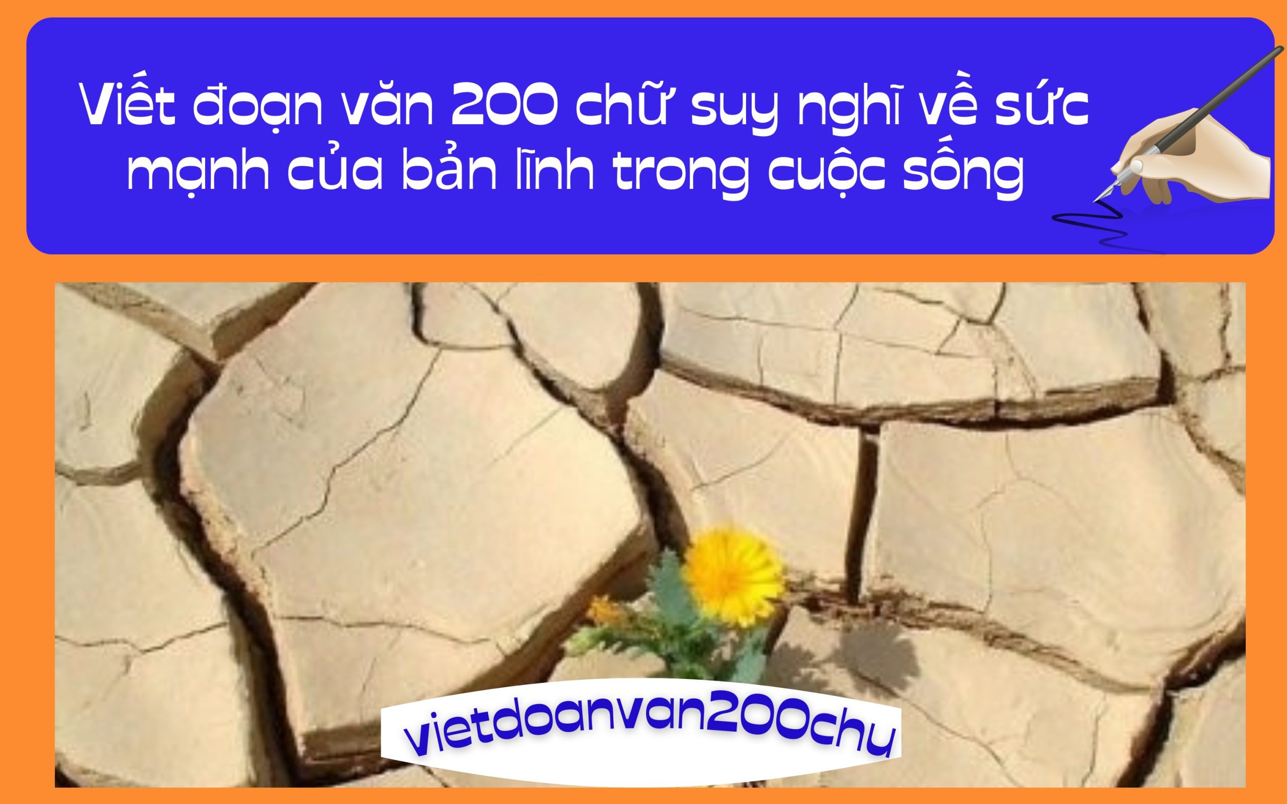 Đoạn văn 200 chữ suy nghĩ về sức mạnh của bản lĩnh trong cuộc sống