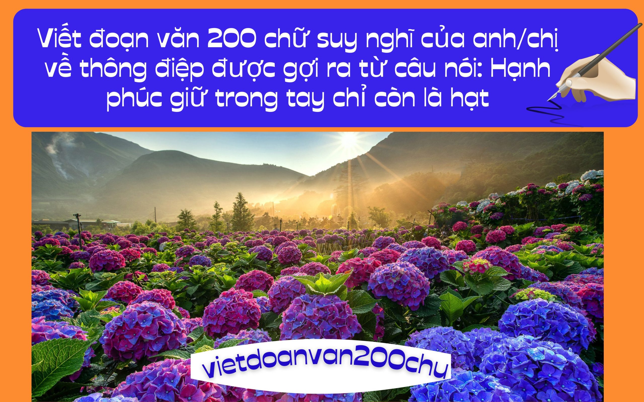 Đoạn văn 200 chữ suy nghĩ của anh/chị về thông điệp được gợi ra từ câu nói: Hạnh phúc giữ trong tay chỉ còn là hạt