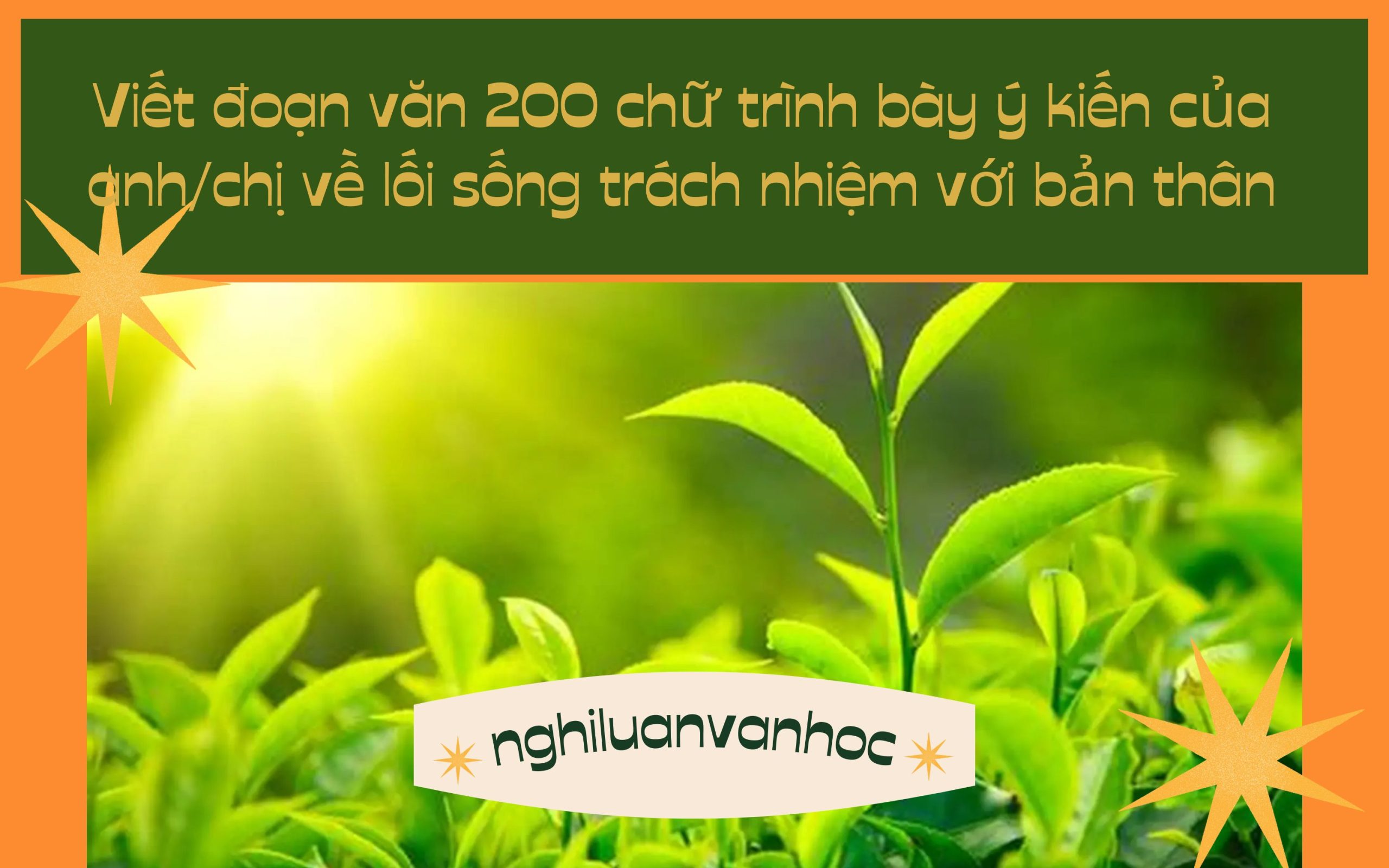 Viết đoạn văn 200 chữ trình bày ý kiến của anh/chị về lối sống trách nhiệm với bản thân