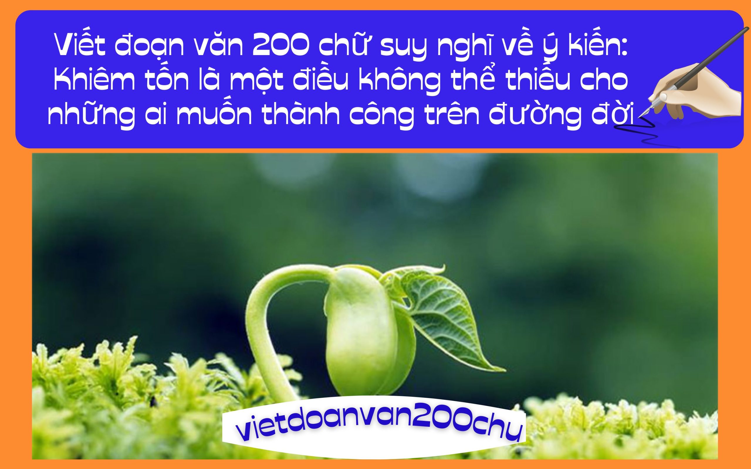 Đoạn văn 200 chữ suy nghĩ về ý kiến: Khiêm tốn là một điều không thể thiếu cho những ai muốn thành công trên đường đời