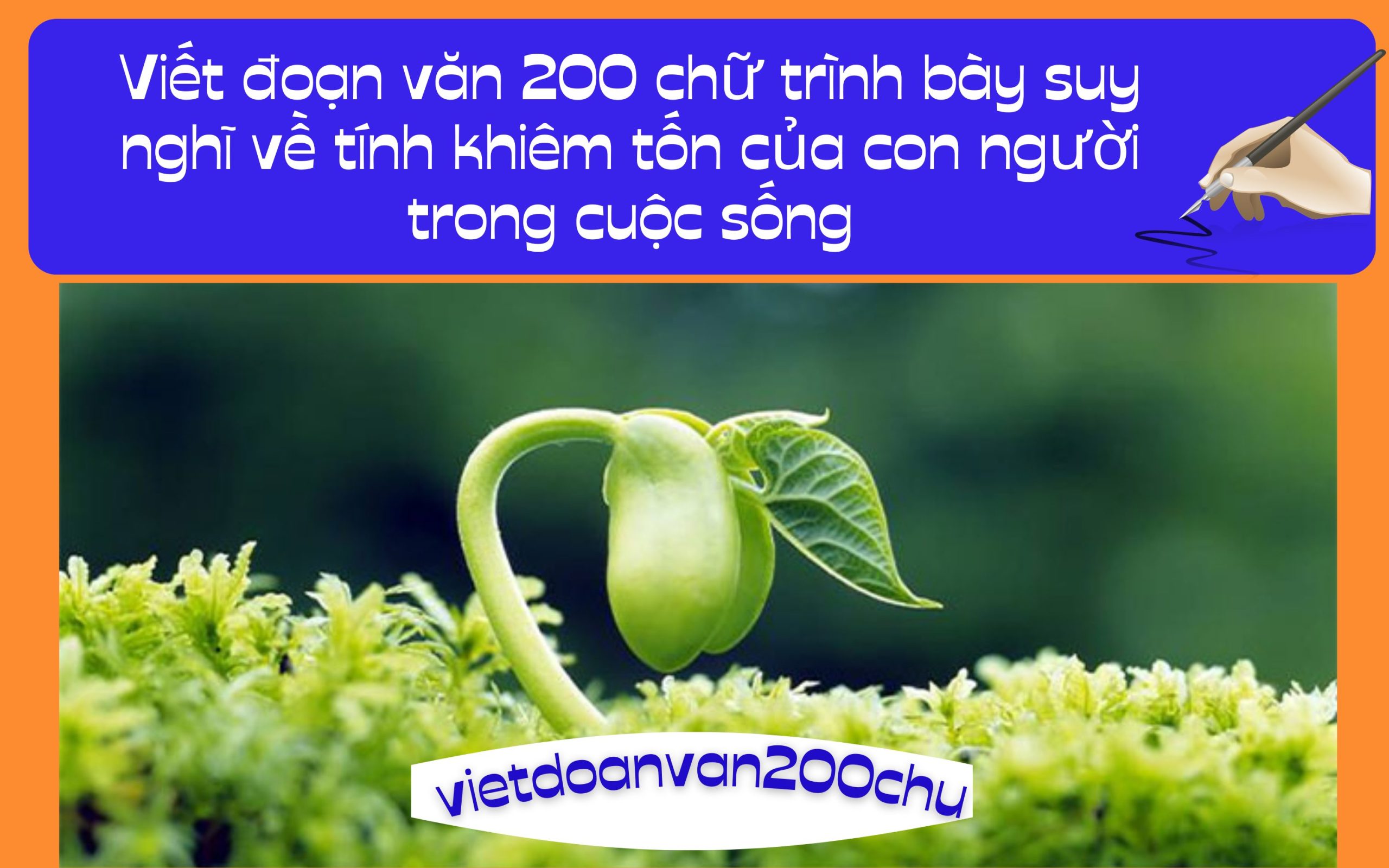 Đoạn văn 200 chữ trình bày suy nghĩ về tính khiêm tốn của con người trong cuộc sống (