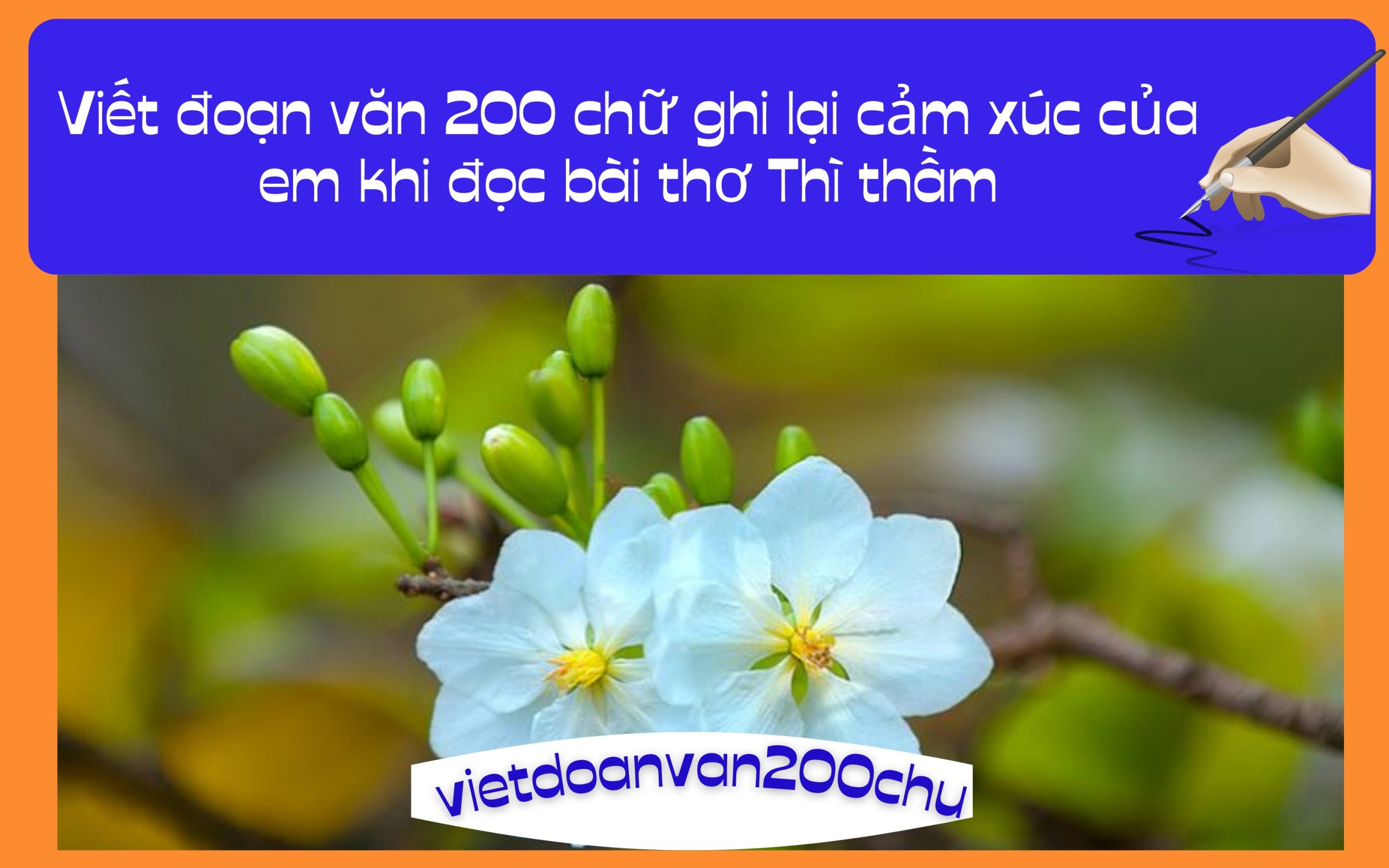 Đoạn văn 200 chữ ghi lại cảm xúc của em khi đọc bài thơ Thì thầm
