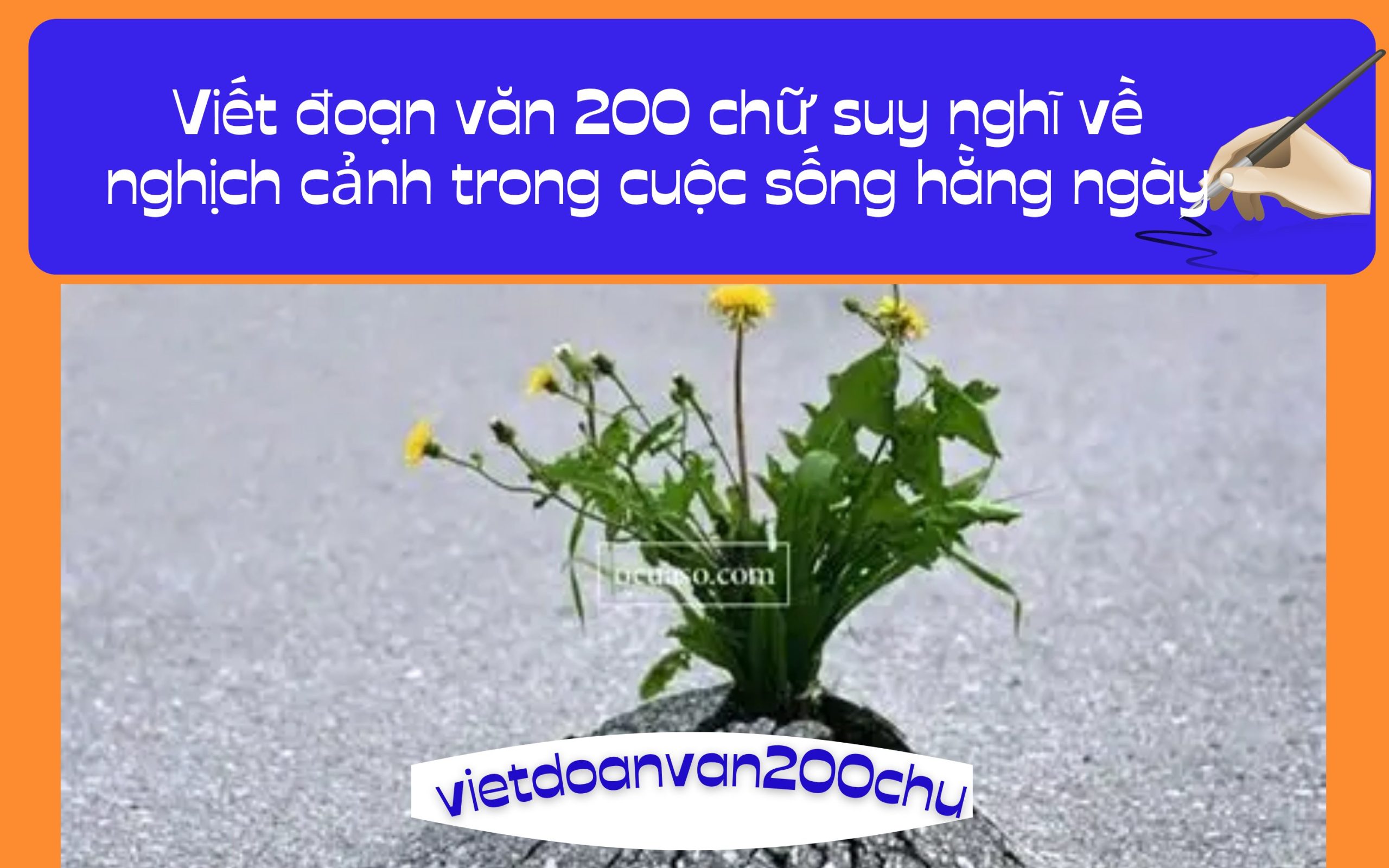 Đoạn văn 200 chữ suy nghĩ về nghịch cảnh trong cuộc sống hằng ngày