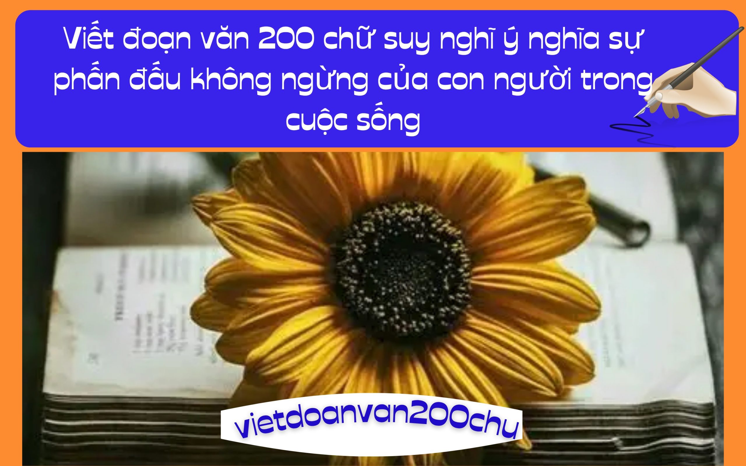 Đoạn văn 200 chữ suy nghĩ ý nghĩa sự phấn đấu không ngừng của con người trong cuộc sống