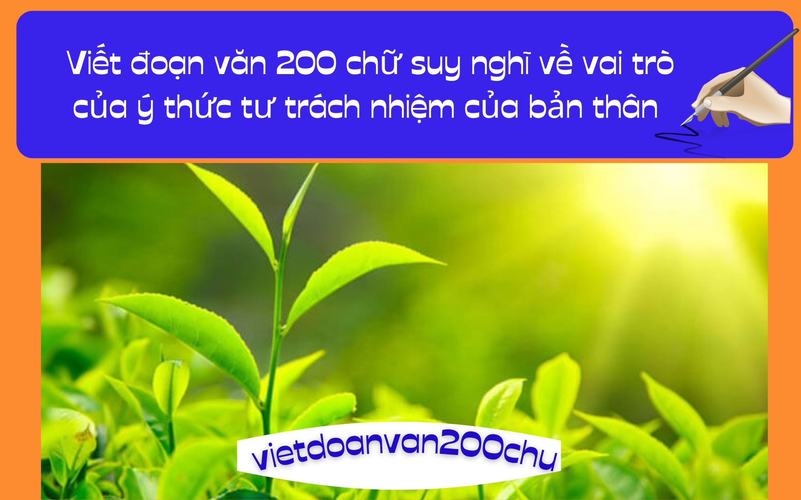 Đoạn văn 200 chữ suy nghĩ về vai trò của ý thức tư trách nhiệm của bản thân