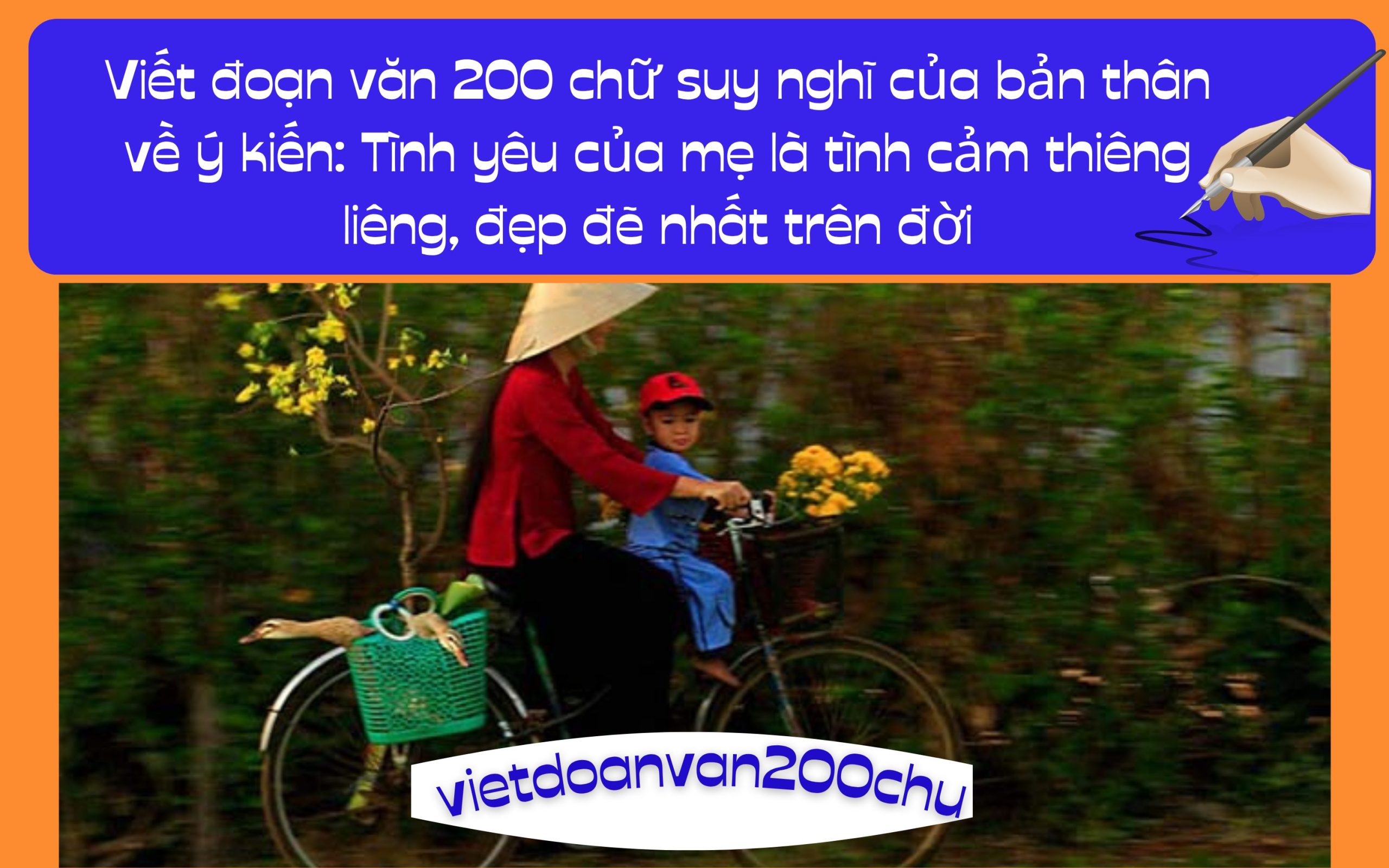 Đoạn văn 200 chữ suy nghĩ của bản thân về ý kiến: Tình yêu của mẹ là tình cảm thiêng liêng, đẹp đẽ nhất trên đời
