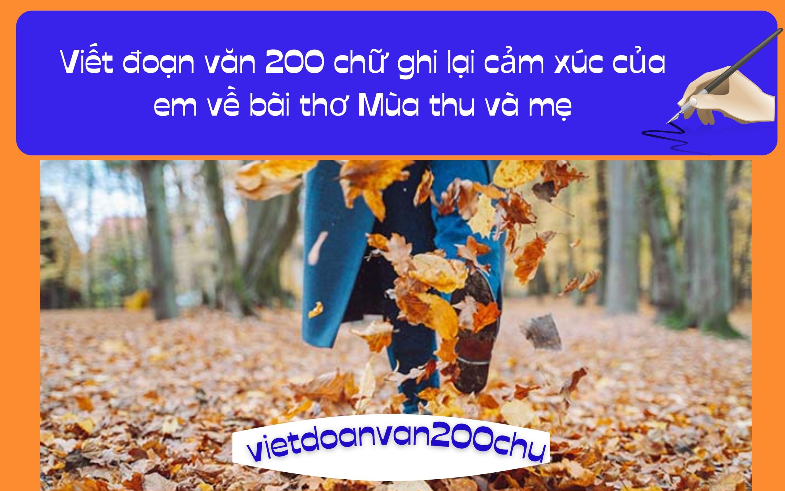 Đoạn văn 200 chữ ghi lại cảm xúc của em về bài thơ Mùa thu và mẹ