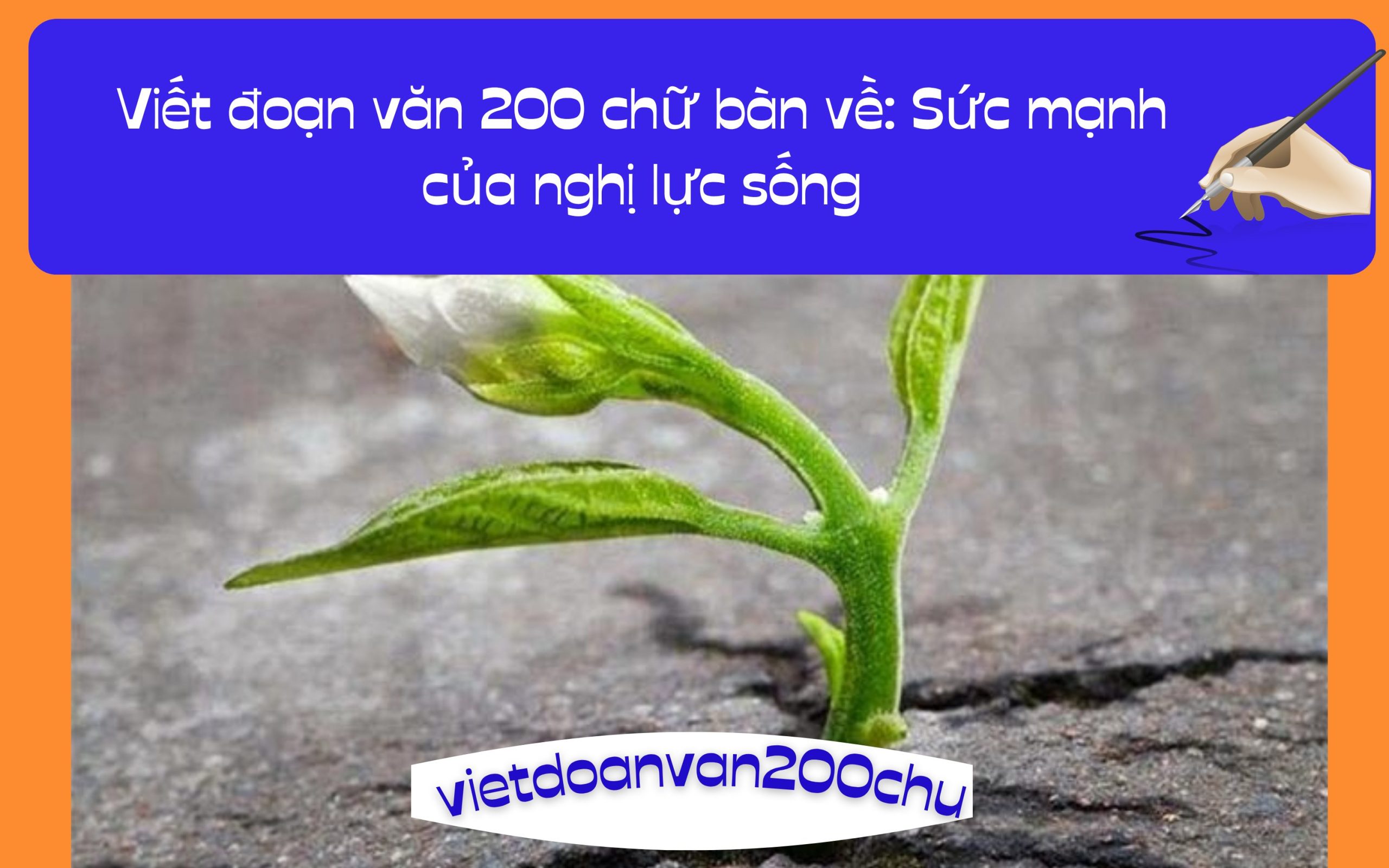 Đoạn văn 200 chữ bàn về: Sức mạnh của nghị lực sống