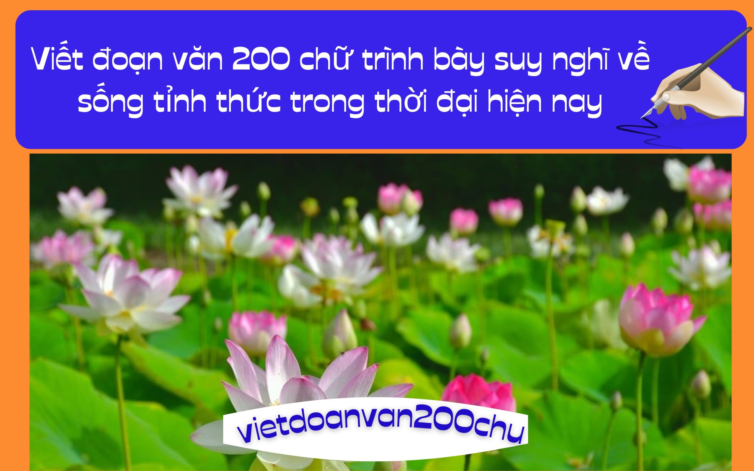 Đoạn văn 200 chữ trình bày suy nghĩ về sống tỉnh thức trong thời đại hiện nay
