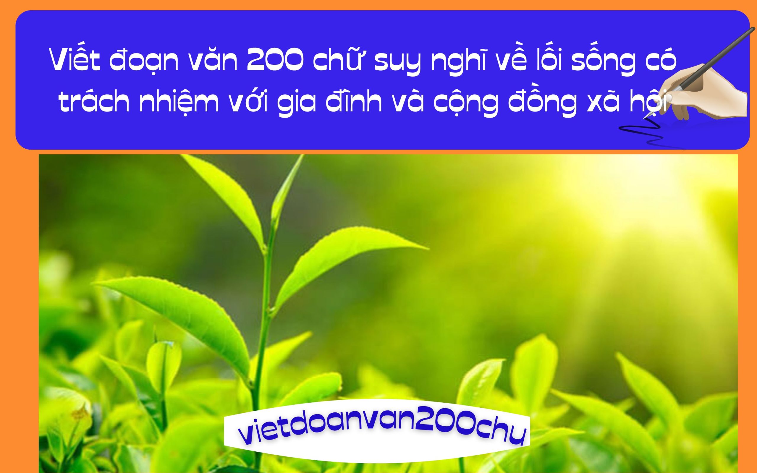 Đoạn văn 200 chữ suy nghĩ về lối sống có trách nhiệm với gia đình và cộng đồng xã hội