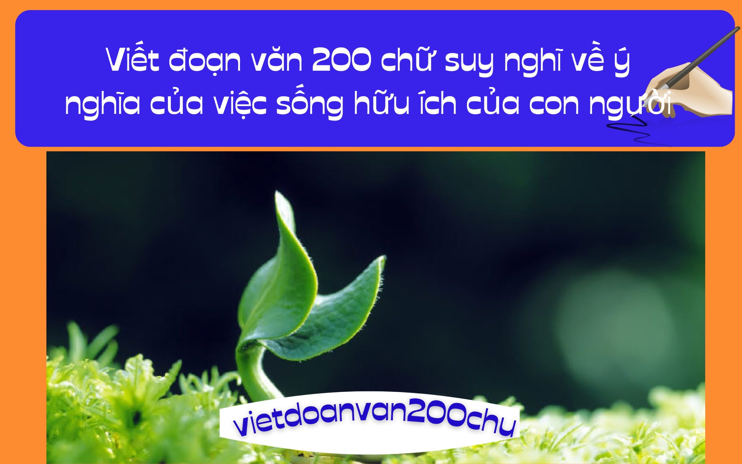 Đoạn văn 200 chữ suy nghĩ về ý nghĩa của việc sống hữu ích của con người