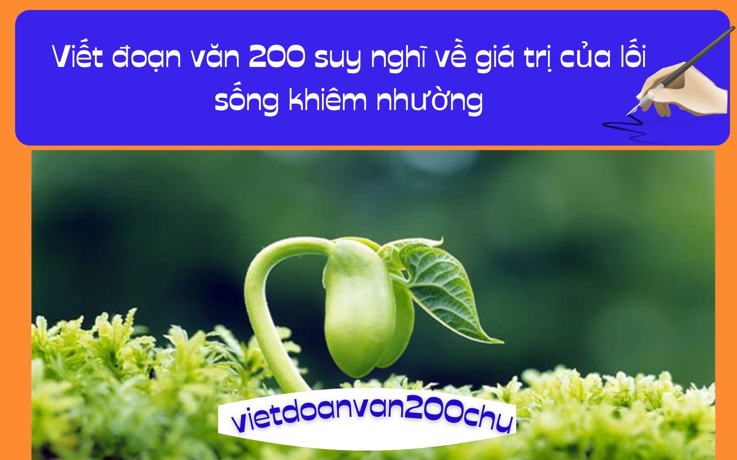 Đoạn văn 200 suy nghĩ về giá trị của lối sống khiêm nhường