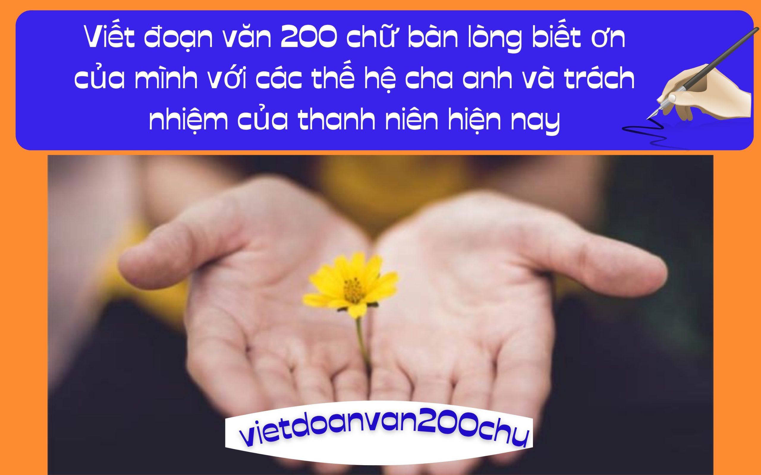 Đoạn văn 200 chữ bàn lòng biết ơn của mình với các thế hệ cha anh và trách nhiệm của thanh niên hiện nay