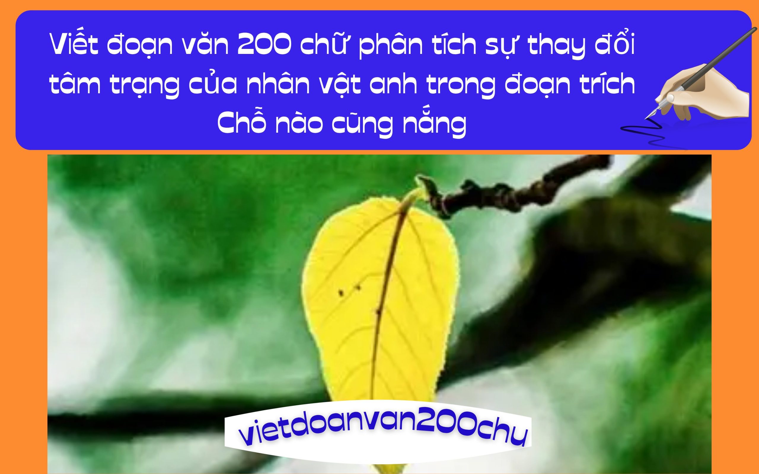 Đoạn văn 200 chữ phân tích sự thay đổi tâm trạng của nhân vật anh trong đoạn trích Chỗ nào cũng nắng