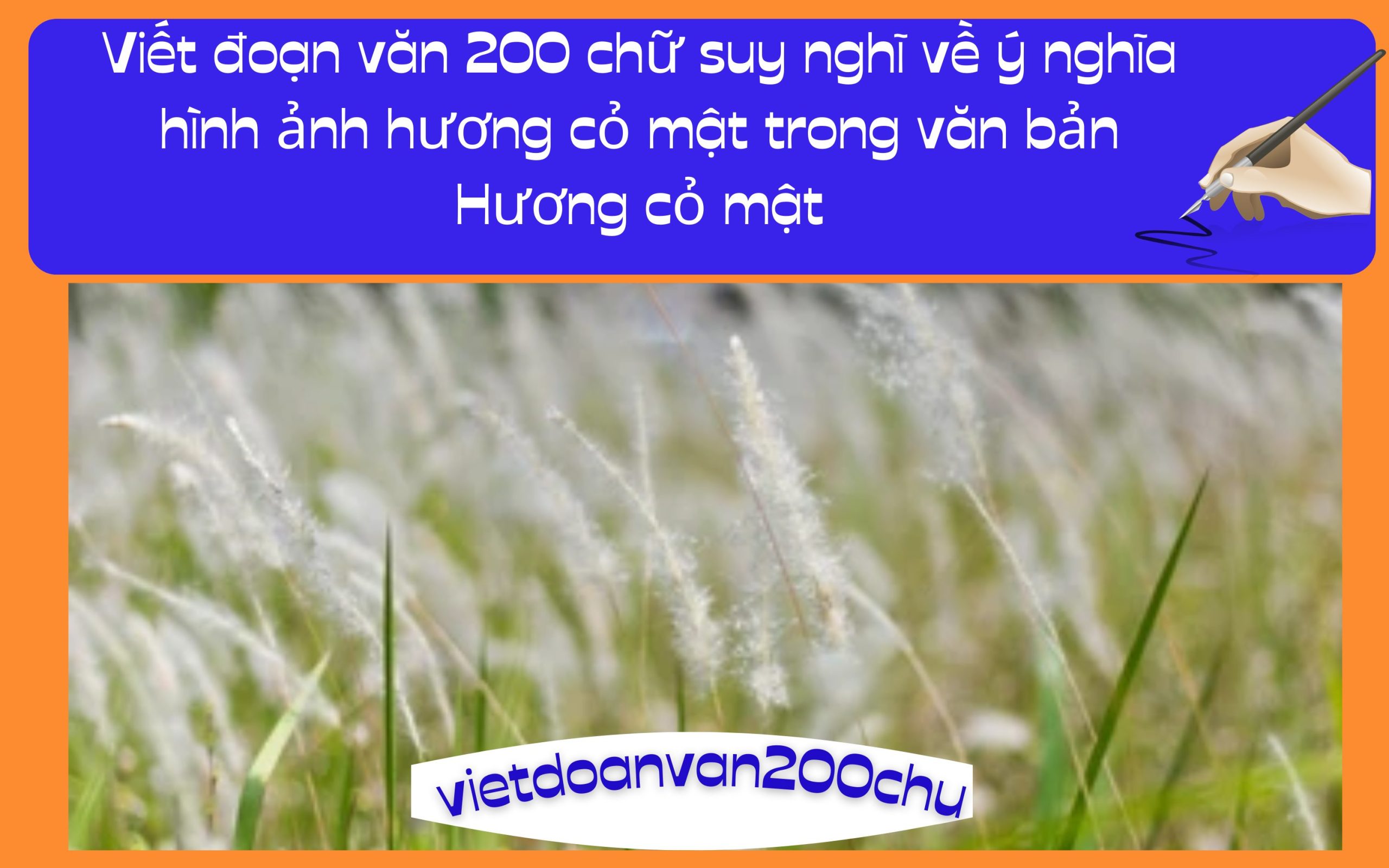 Đoạn văn 200 chữ suy nghĩ về ý nghĩa hình ảnh hương cỏ mật trong văn bản Hương cỏ mật
