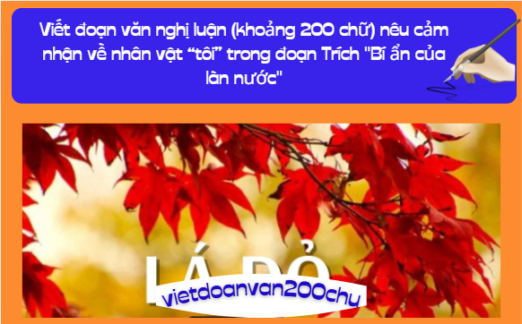 Viết đoạn văn nghị luận (Khoảng 200 chữ) làm rõ đặc điểm về cảm xúc của nhân vật trữ tình trong đoạn văn bản "Lá đỏ"