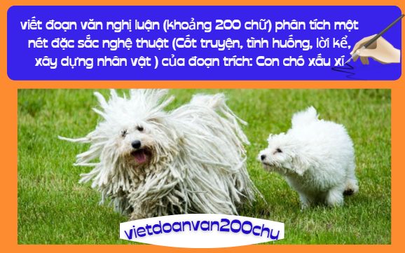 viết đoạn văn nghị luận (khoảng 200 chữ) phân tích một nét đặc sắc nghệ thuật (Cốt truyện, tình huống, lời kể, xây dựng nhân vật ) của đoạn trích: Con chó xấu xí