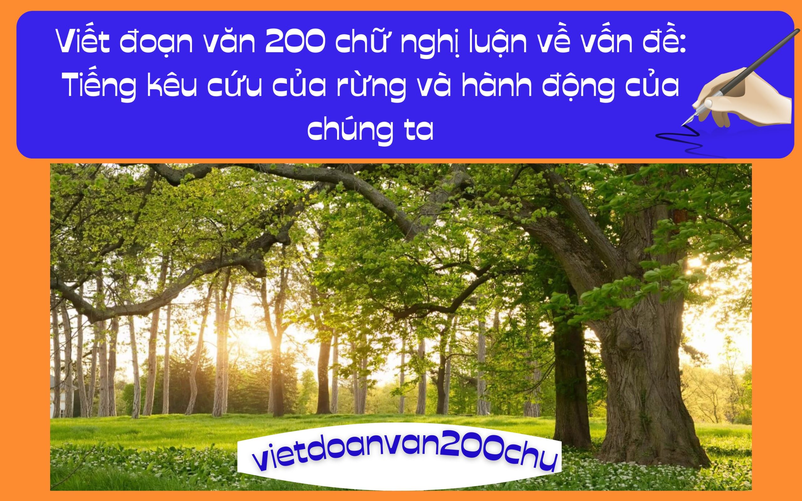 Đoạn văn 200 chữ nghị luận về vấn đề: Tiếng kêu cứu của rừng và hành động của chúng ta
