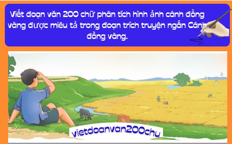 Viết đoạn văn 200 chữ phân tích hình ảnh cánh đồng vàng được miêu tả trong đoạn trích truyện ngắn Cánh đồng vàng.