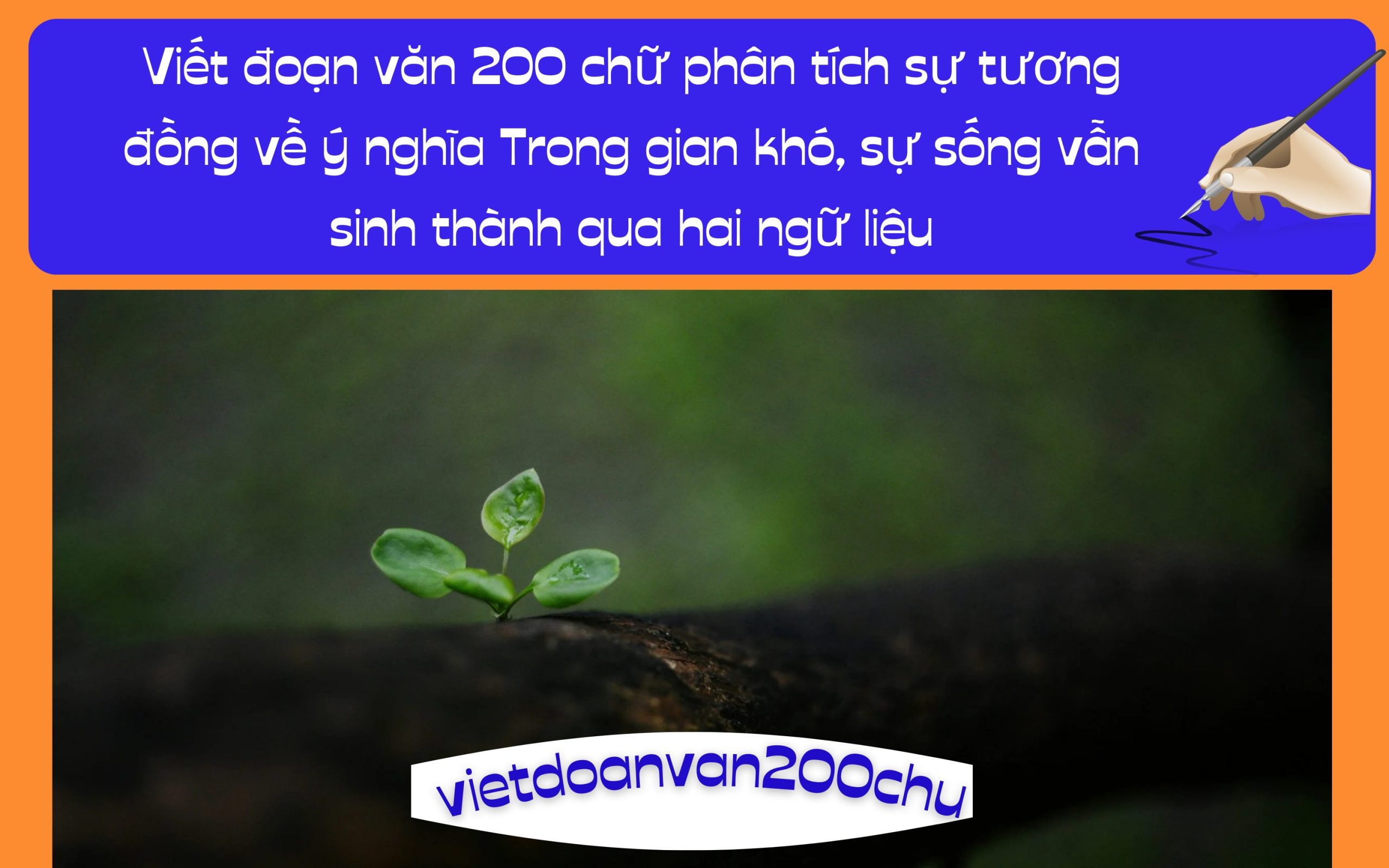 Viết đoạn văn 200 chữ phân tích sự tương đồng về ý nghĩa Trong gian khó, sự sống vẫn sinh thành qua hai ngữ liệu