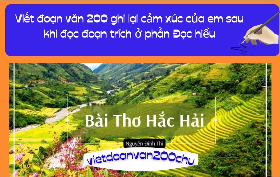 Viết đoạn văn 200 ghi lại cảm xúc của em sau khi đọc đoạn trích ở phần Đọc hiểu
